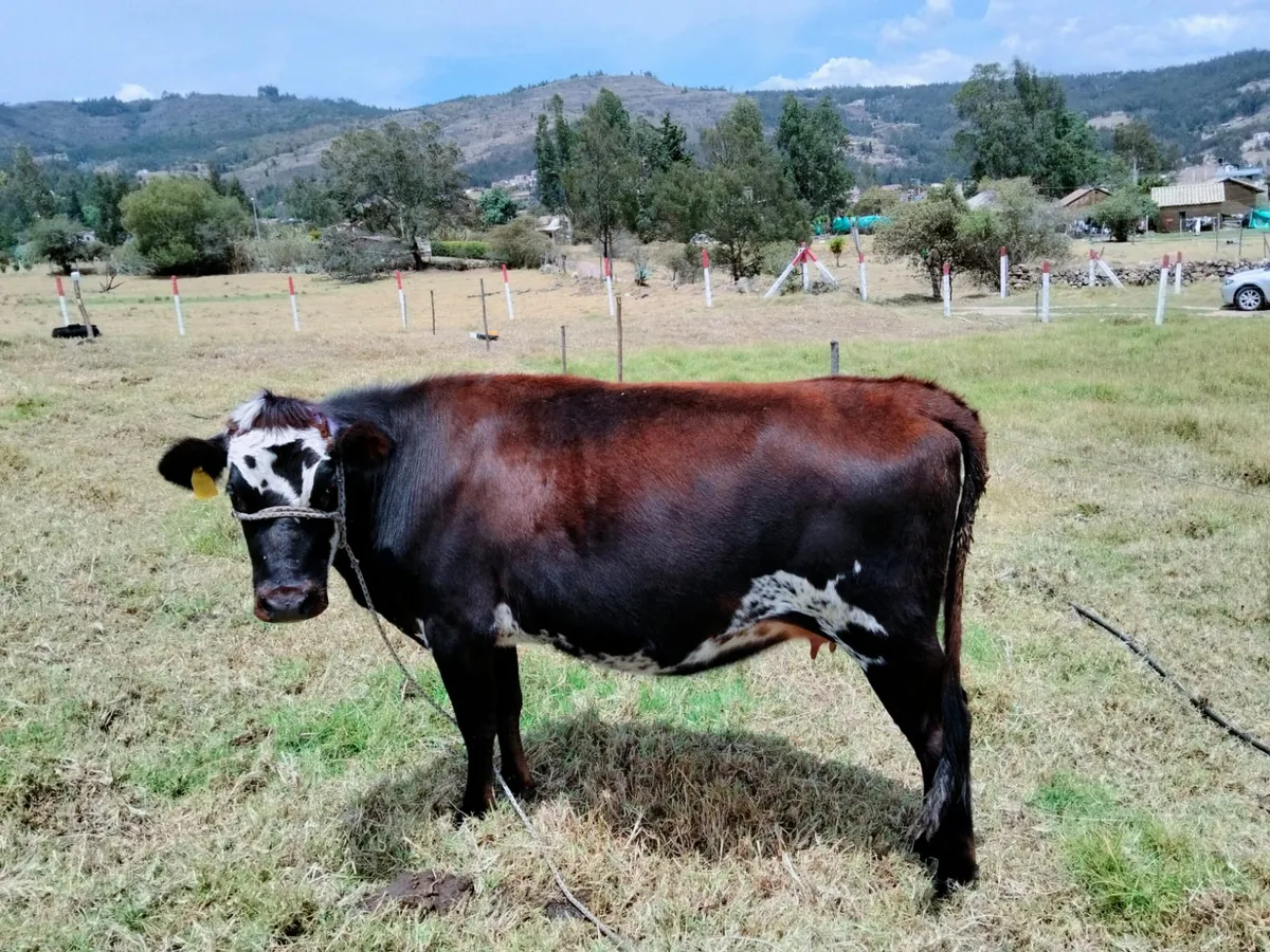 A la venta